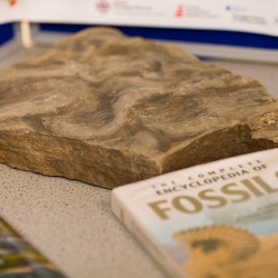 BSFOpenEvening091116 105