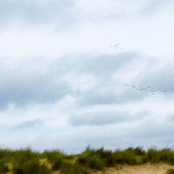 Southwold151019 049